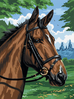 Ζωγραφική με Αριθμούς Royal & Langnickel Ζωγραφική σύμφωνα με αριθμούς Ενα άλογο - 1