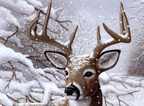 Ζωγραφική με Αριθμούς Royal & Langnickel Ζωγραφική σύμφωνα με αριθμούς Deer - 1