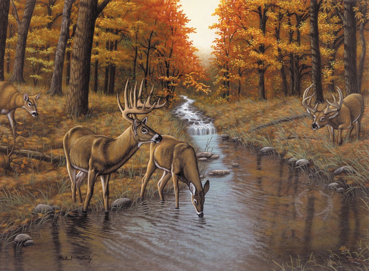 Ζωγραφική με Αριθμούς Royal & Langnickel Ζωγραφική σύμφωνα με αριθμούς Deers