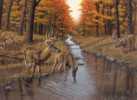 Pintura por números Royal & Langnickel Painting by Numbers Deers Pintura por números - 1
