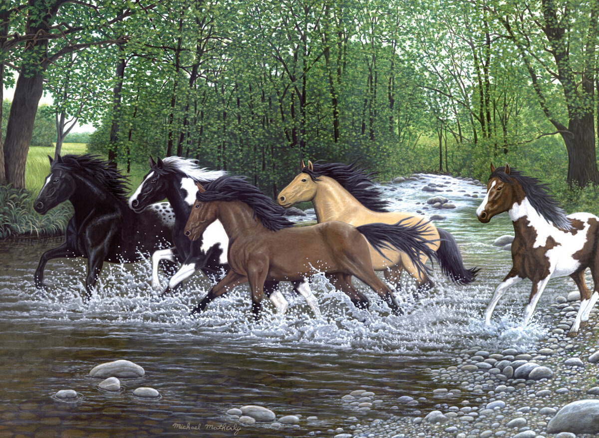 Ζωγραφική με Αριθμούς Royal & Langnickel Ζωγραφική σύμφωνα με αριθμούς Wild Horses