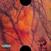 Disque vinyle ScHoolboy Q - Blank Face Lp (2 LP)