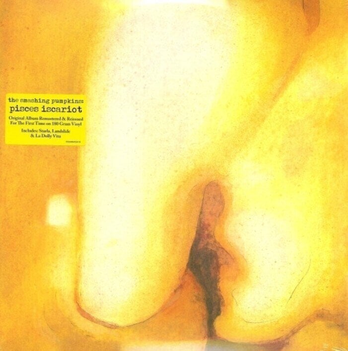 Schallplatte The Smashing Pumpkins - Pisces Iscariot (Reissue) (Remastered) (2 LP)