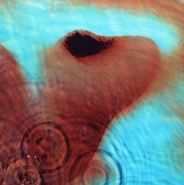 Δίσκος LP Pink Floyd - Meddle (Reissue) (Remastered) (180g) (LP)