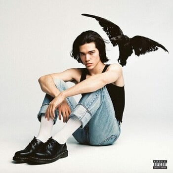 Vinyylilevy Conan Gray - Kid Krow (Smoky Gray Coloured) (LP) - 1