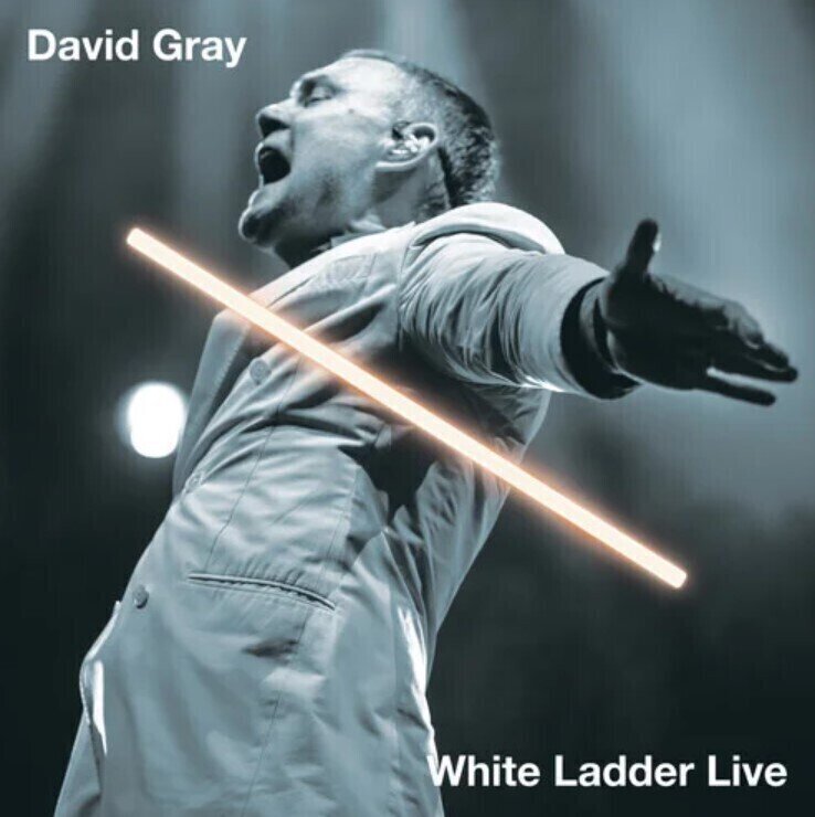 Schallplatte David Gray - White Ladder Live (2 LP)