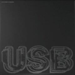 Płyta winylowa Fred Again - USB (2 LP)