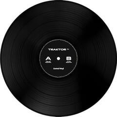 DVS/aikakoodi Native Instruments Traktor Control Vinyl DVS/aikakoodi Black