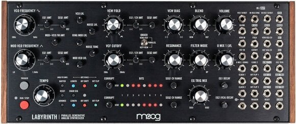 Synthesizer MOOG Labyrinth Synthesizer - 1