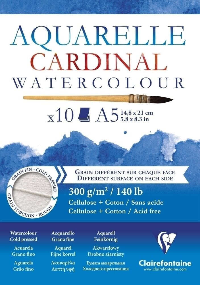 Livro de desenho Clairefontaine Cardinal Glued Pad A5 300 g Livro de desenho