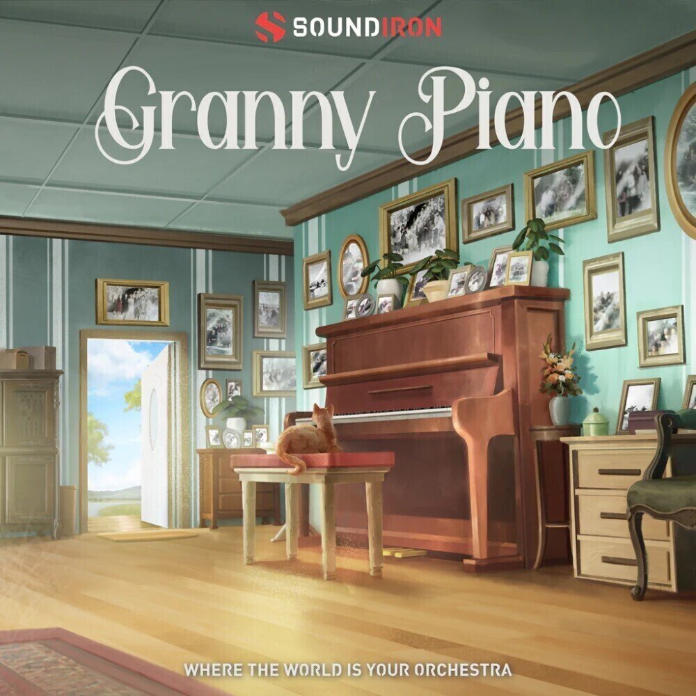 Libreria sonora per campionatore Soundiron Old Busted Granny Piano (Prodotto digitale)