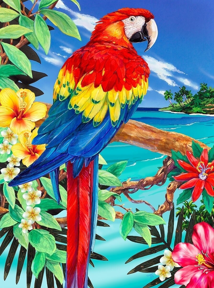 Picturi pe numere Royal & Langnickel Picturi pe numere Scarlet Macaw