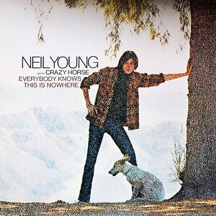 Płyta winylowa Neil Young - Everybody Knows This Is Nowhere (Reissue) (LP)