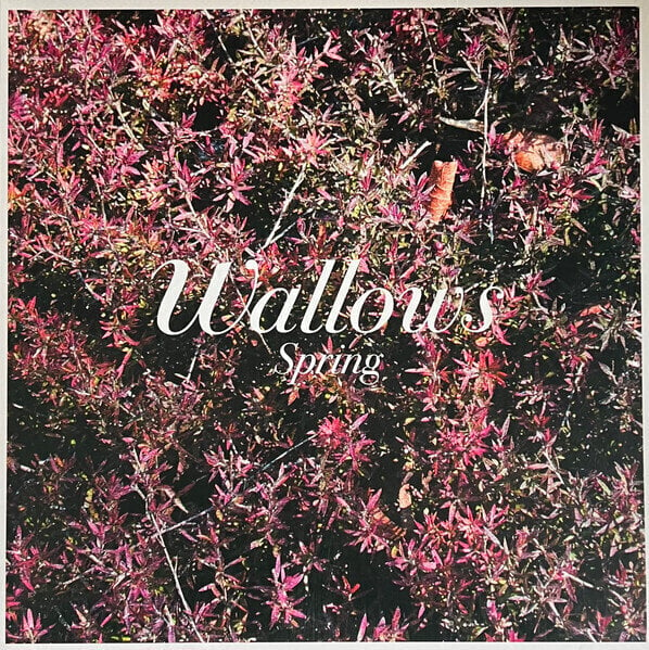 LP Wallows - Spring (Green & Pink Coloured) (12" Vinyl)