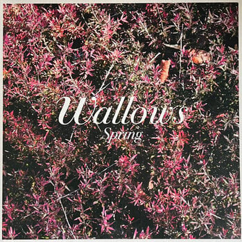 Disco in vinile Wallows - Spring (Green & Pink Coloured) (12" Vinyl) - 1