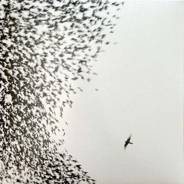 Vinyylilevy Wilco - Sky Blue Sky (2 LP)