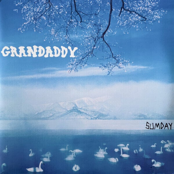 Vinyylilevy Grandaddy - Sumday (White Coloured) (Reissue) (LP)