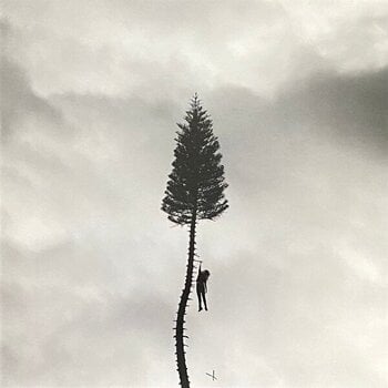 Vinyl Record Manchester Orchestra - Black Mile To The Surface (2 LP) - 1