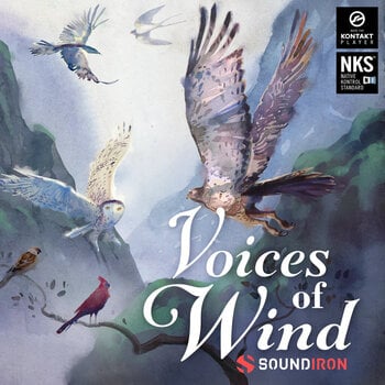 Bibliothèques de sons pour sampler Soundiron Voices of Wind Collection (Produit numérique) - 1