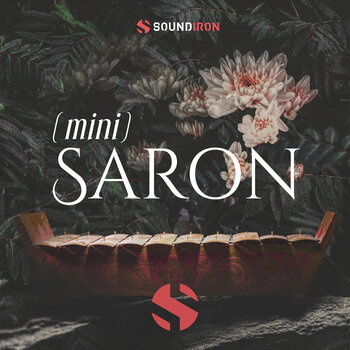 Bibliothèques de sons pour sampler Soundiron Mini Saron (Produit numérique) - 1