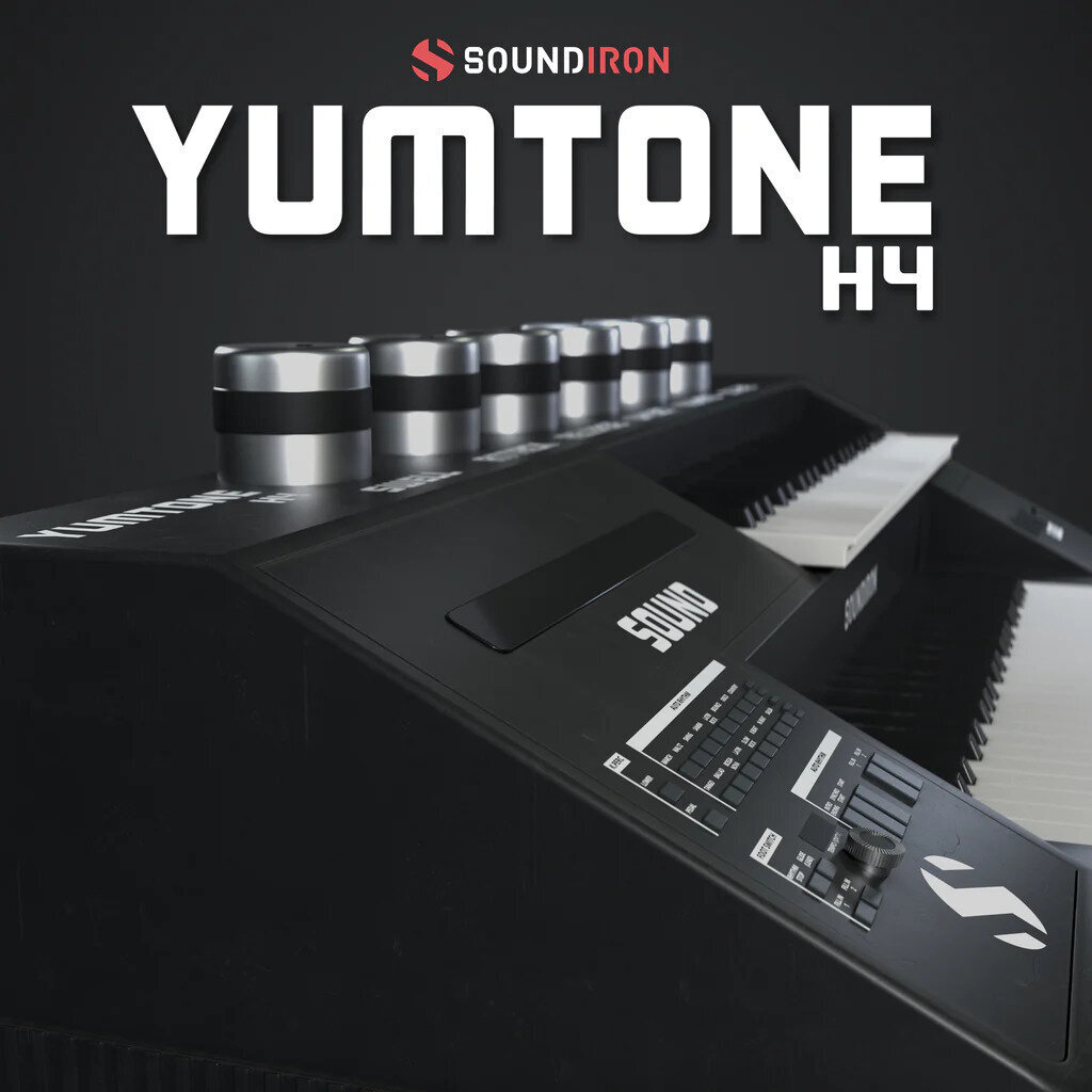 Bibliothèques de sons pour sampler Soundiron Yumtone H4 (Produit numérique)