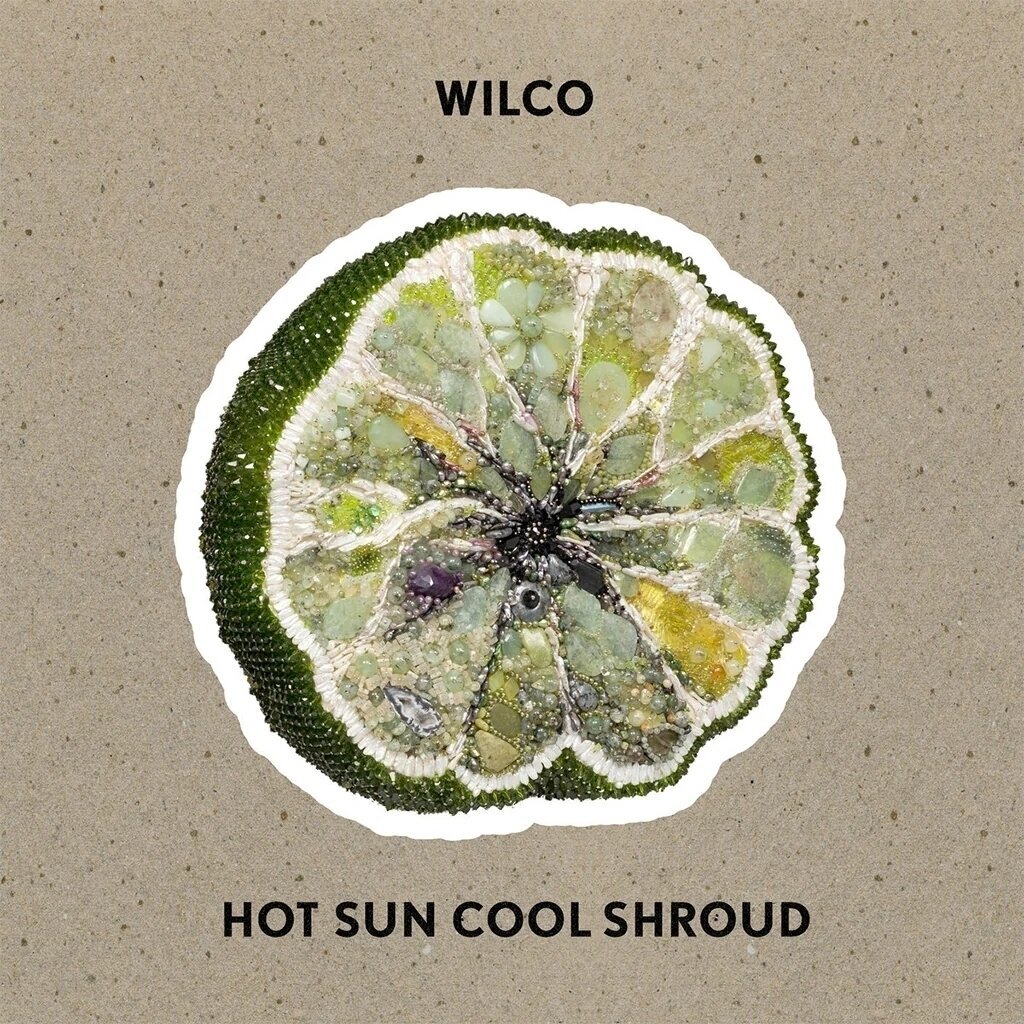 Vinyl Record Wilco - Hot Sun Cool Shroud (EP)