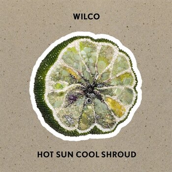 Vinyl Record Wilco - Hot Sun Cool Shroud (EP) - 1