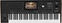 Professional Keyboard Korg Pa5X-61 Oriental Professional Keyboard