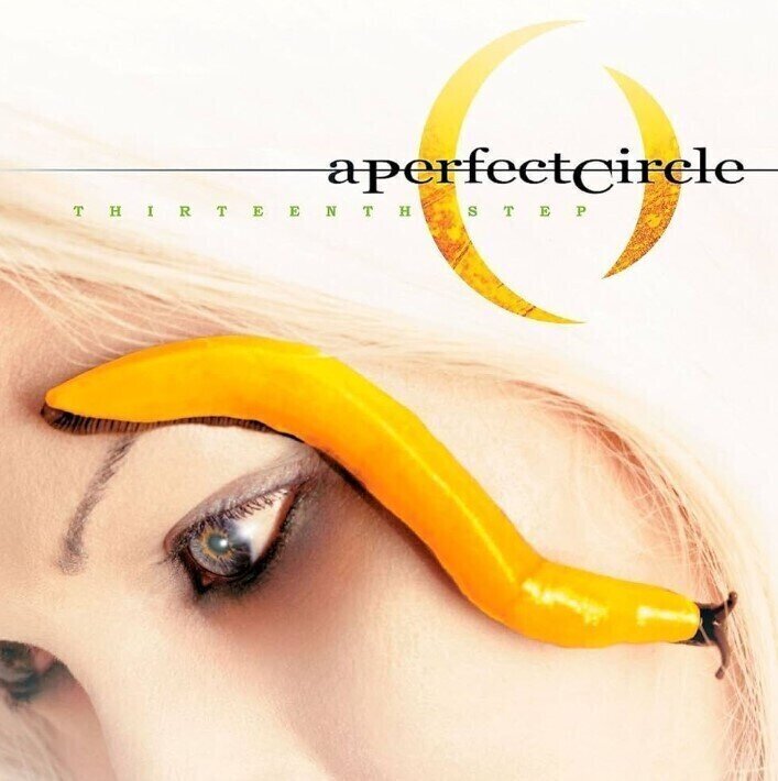 Płyta winylowa A Perfect Circle - Thirteenth Step (Reissue) (2 LP)