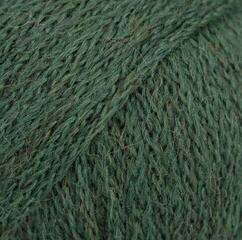 Breigaren Drops Sky Uni Colour 20 Dark Ivy Breigaren