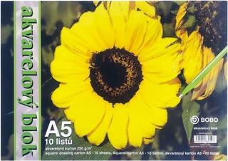 Skizzenbuch Bobo Watercolour Pad Skizzenbuch 10 A5 250 g