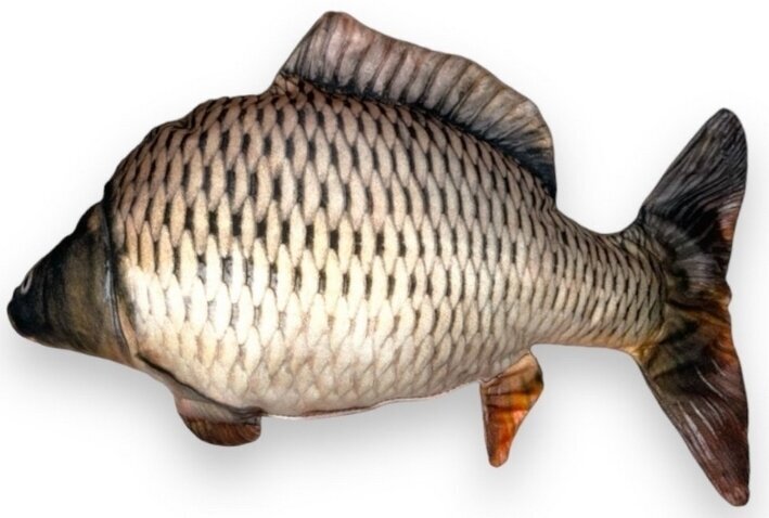 Outros artigos e ferramentas de pesca BeCare Pillow Common Carp S 32 cm