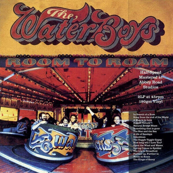 LP Waterboys - Room To Roam (Remastered) (180 g) (2 LP)