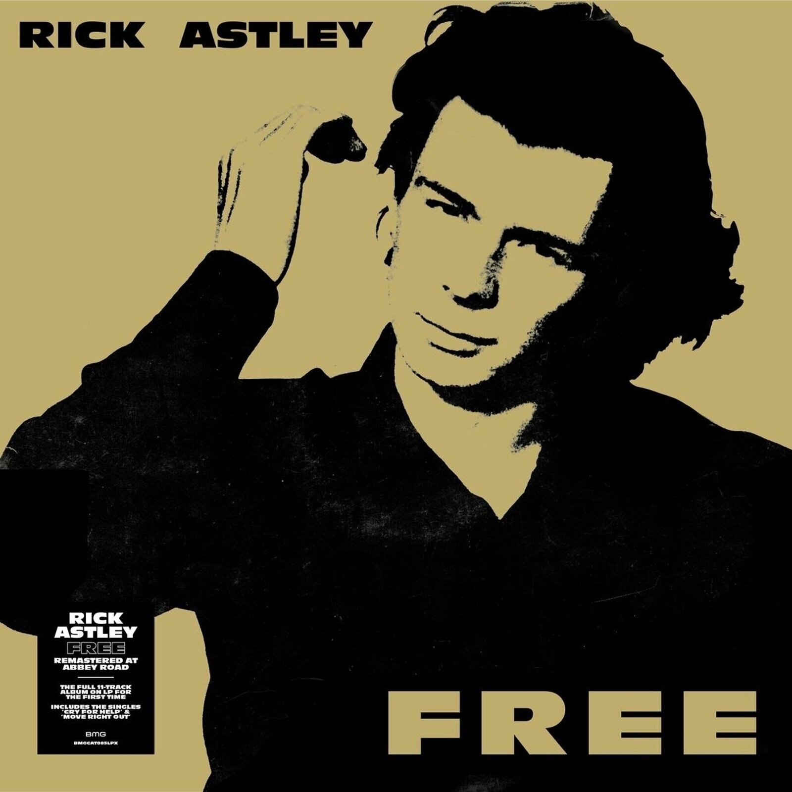 Δίσκος LP Rick Astley - Free (Remaster) (LP)