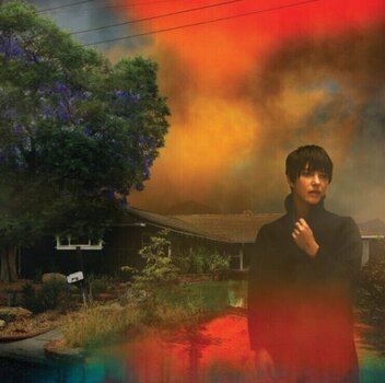 Schallplatte Sharon Van Etten - We've Been Going About This All Wrong (Marbled Smoke Coloured) (LP) - 1