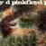 Płyta winylowa Pink Floyd - A Saucerful Of Secrets (Reissue) (Remastered) (LP)