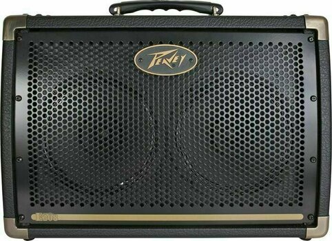 Combo for Acoustic-electric Guitar Peavey Ecoustic E208 - 1