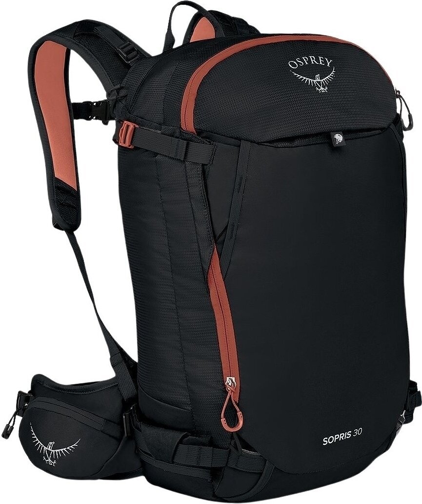 Rejsetaske til ski Osprey Sopris 30 Black Rejsetaske til ski