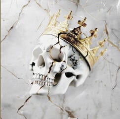 Disc de vinil Jelly Roll - Beautifully Broken (LP)