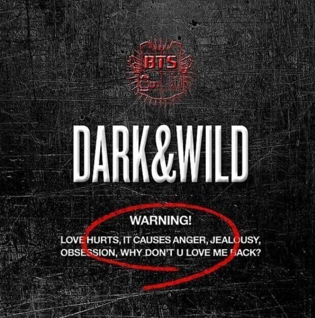 Muziek CD BTS - Vol.1 (Dark & Wild) (Limited Edition) (CD)