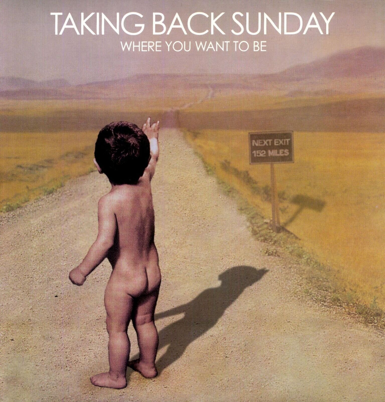 Płyta winylowa Taking Back Sunday Where You Want to Be (LP)