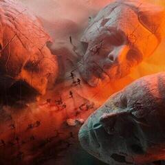 Musikk-CD Muse Will Of The People (Reissue) (CD)