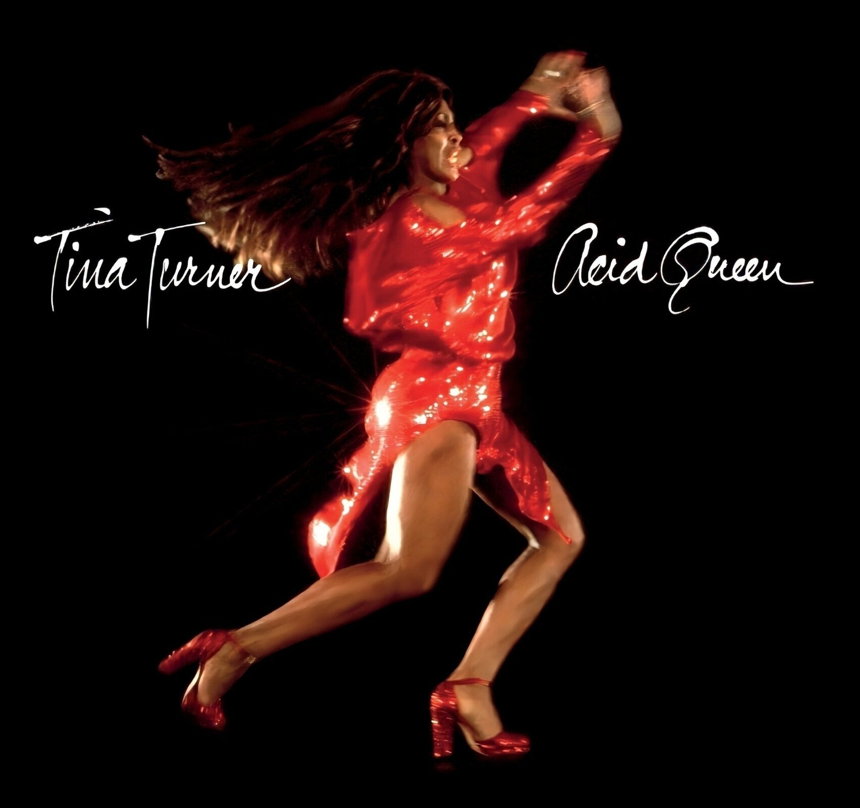 Disc de vinil Tina Turner - Acid Queen (180g) (LP)