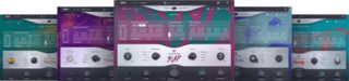 VST Instrument Studio Software UJAM Bassist Bundle (Digital product)