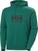 Mikina Helly Hansen HH Logo 2.0 Mikina s kapucňou Emerald XL