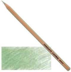 Crayon de couleur Lyra Graduate Permanent Crayon de couleur Grey Green 1 pc