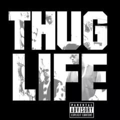 Vinyl Record 2Pac - Thug Life: Volume 1 (Anniversary Edition) (Reissue) (LP)