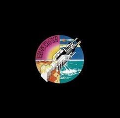 Disc de vinil Pink Floyd - Wish You Were Here (LP)