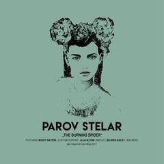 Disc de vinil Parov Stelar - The Burning Spider (2 LP)