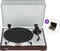 Tocadiscos de alta fidelidad: Thorens TD 402 DD Walnut Cleaning SET Walnut Tocadiscos Hi-Fi Tocadiscos Hi-Fi Thorens TD 402 DD Walnut Cleaning SET Walnut Tocadiscos Hi-Fi